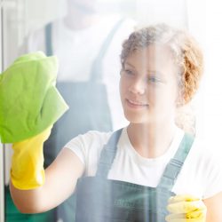 Close-up of woman cleaning a window